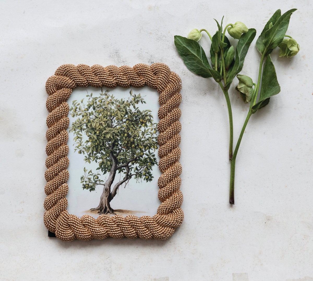 Resin Rope Photo Frame, Gold Finish