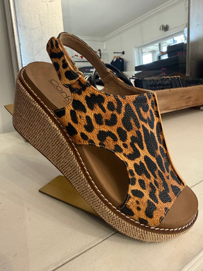Corkys-Carley Leopard