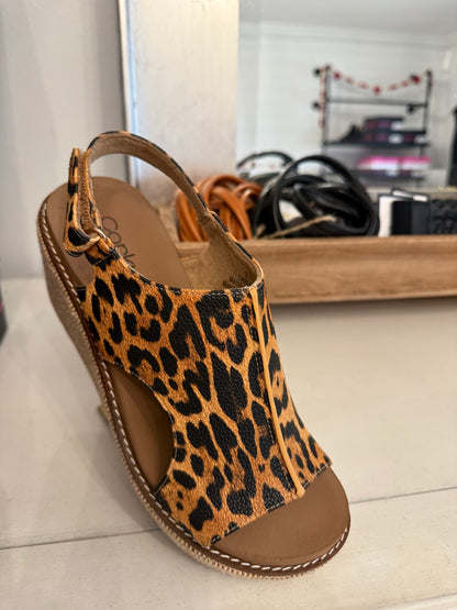 Corkys-Carley Leopard