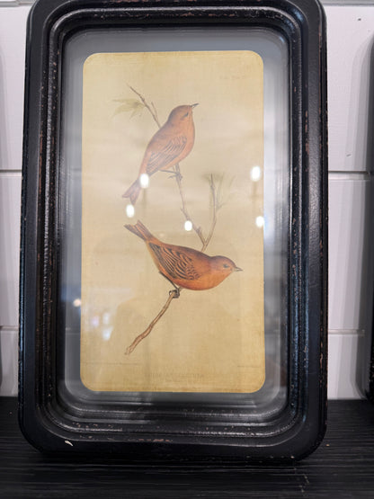 Distressed Wood Framed Wall Decor