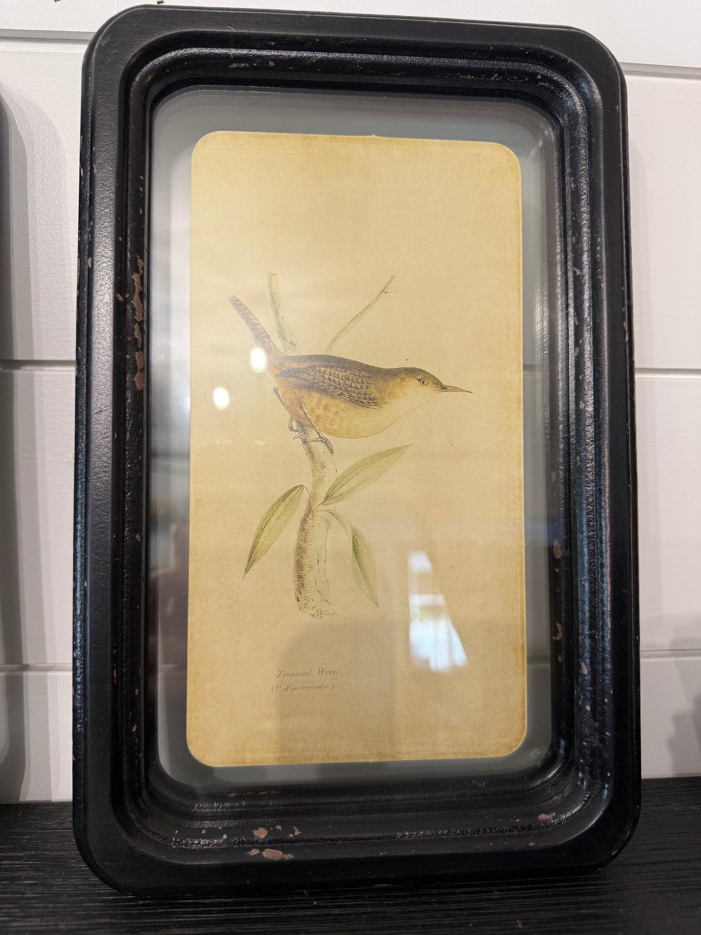 Distressed Wood Framed Wall Decor