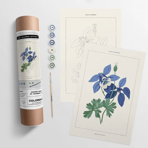 Blue Columbine Botanical | Modern Paint By Numbers Kit