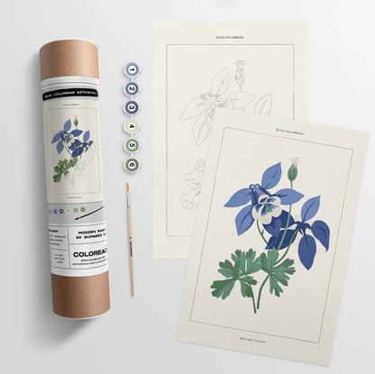 Blue Columbine Botanical | Modern Paint By Numbers Kit