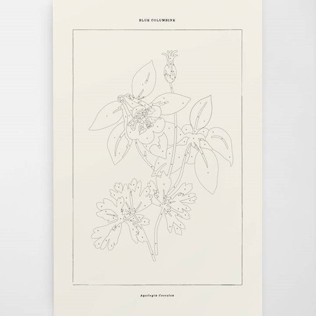 Blue Columbine Botanical | Modern Paint By Numbers Kit