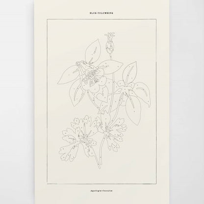 Blue Columbine Botanical | Modern Paint By Numbers Kit